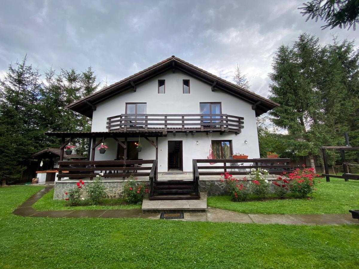 Vila Alunis 2 Bran  Zewnętrze zdjęcie